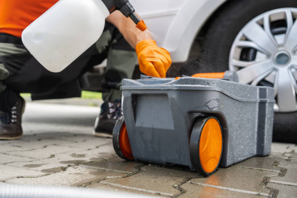 Best Tree Removal  in Bellevue, WA
